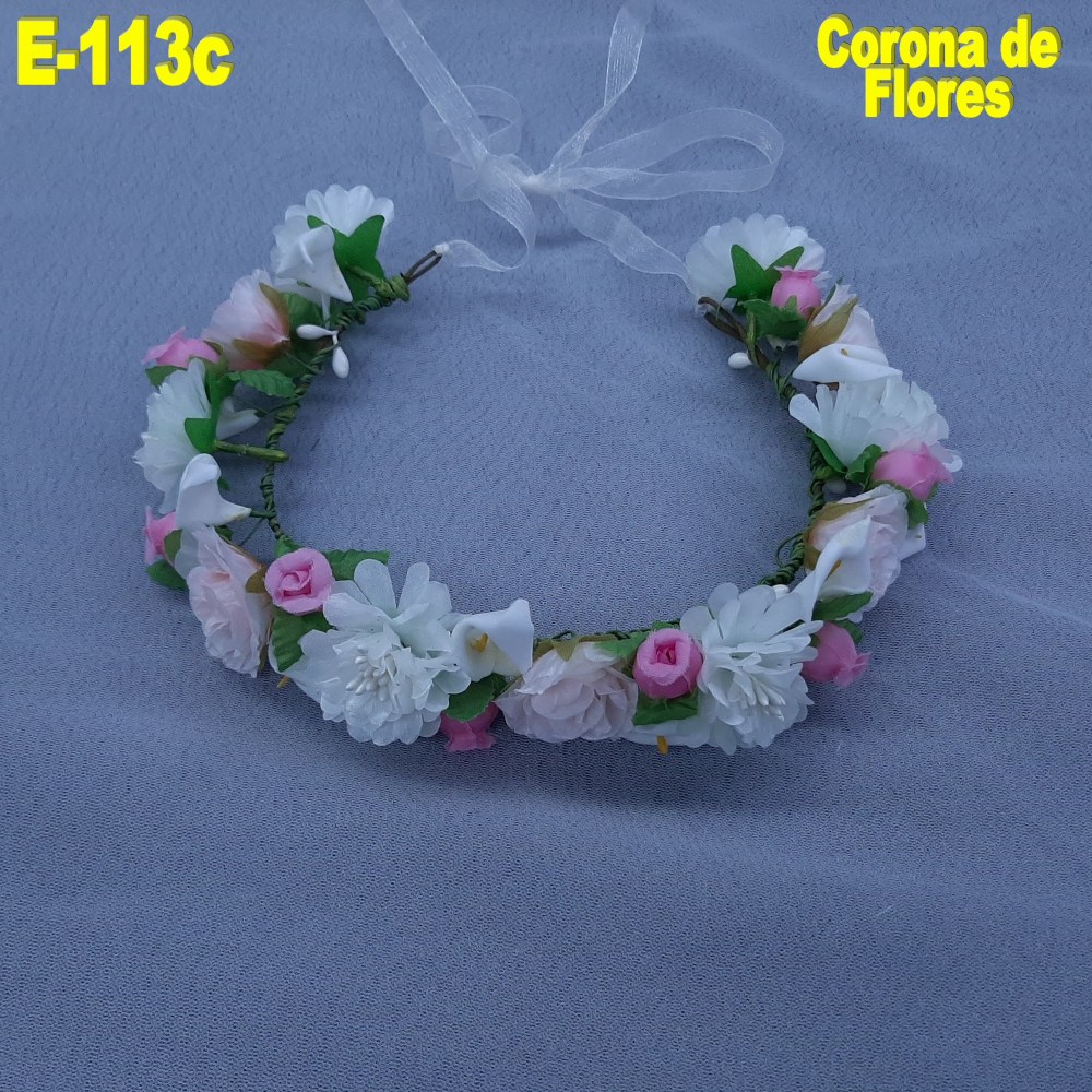 E113C-